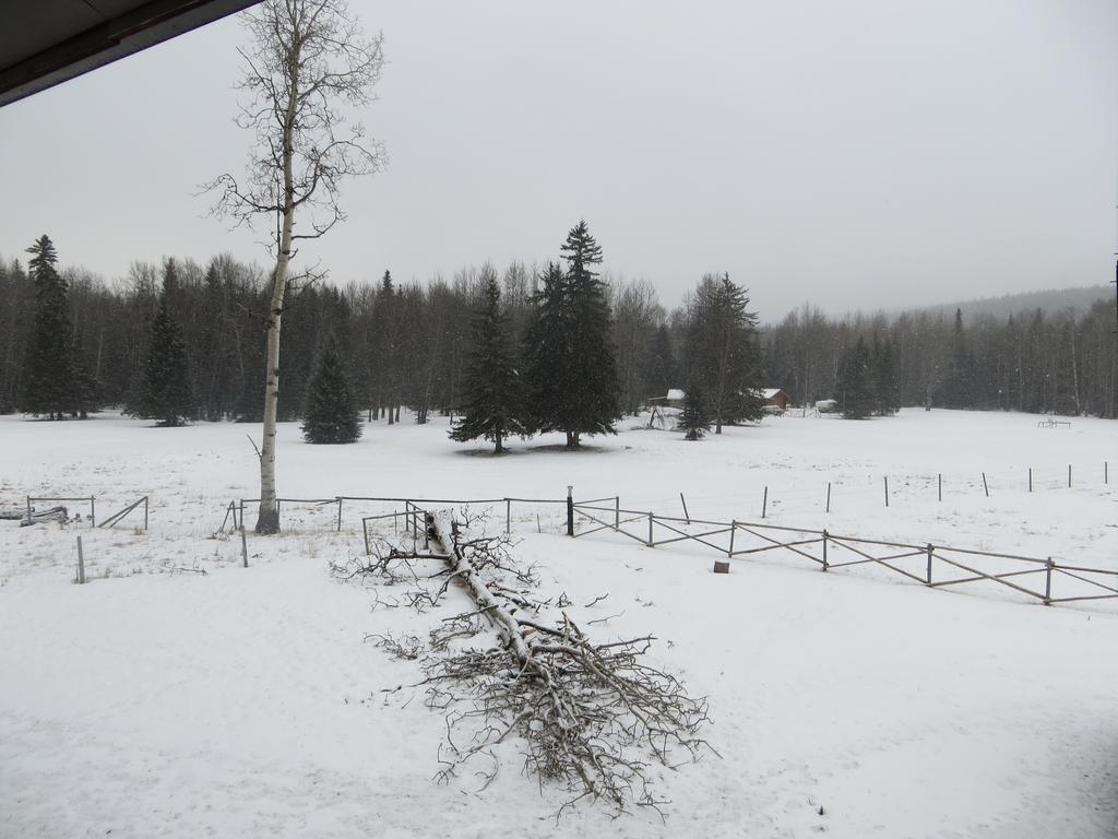 Black Cat Guest Ranch Brule Mines Экстерьер фото